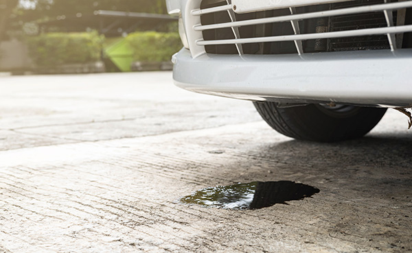 Can a Little Oil Leak Really Ruin Your Engine?